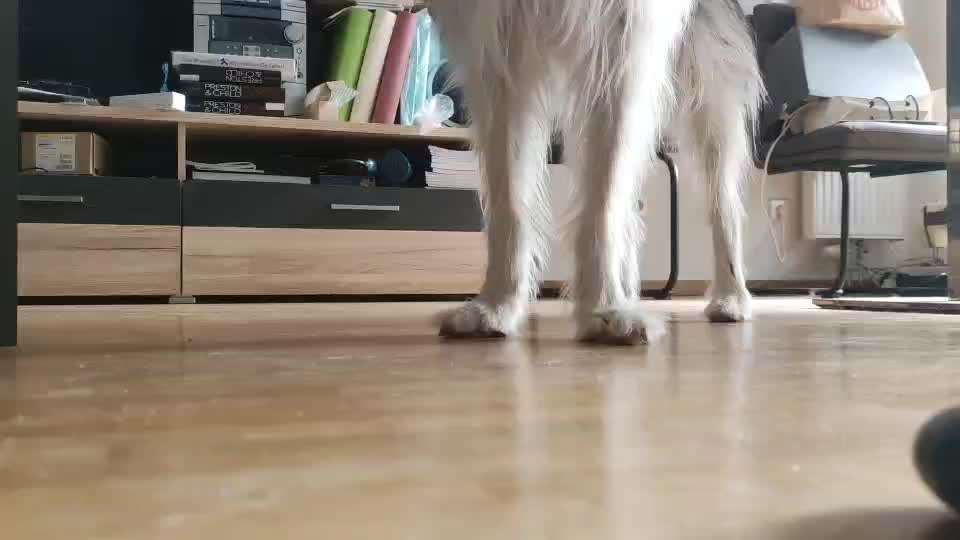 59. Impulskontrollchallenge " Qual der Wahl"-Beitrag-Bild