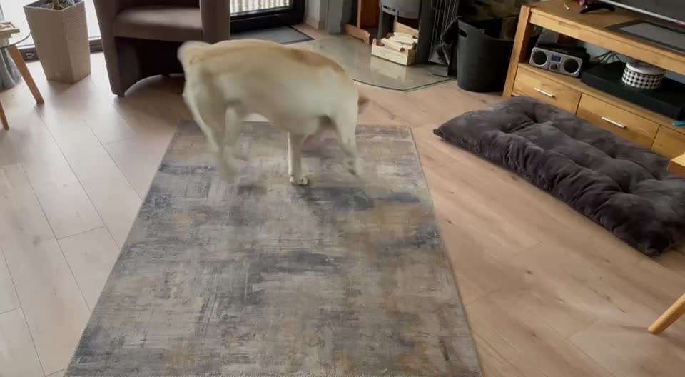 Handy Video Challenge Nr.36 Indoorbespaßung-Beitrag-Bild