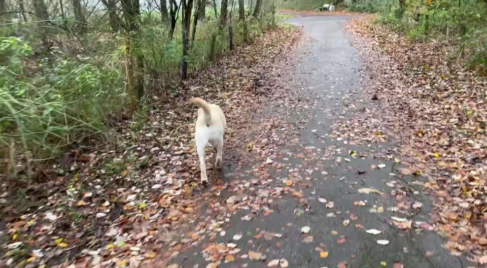 Nr. 64 Selbstständig warten zum Einleinen-Beitrag-Bild