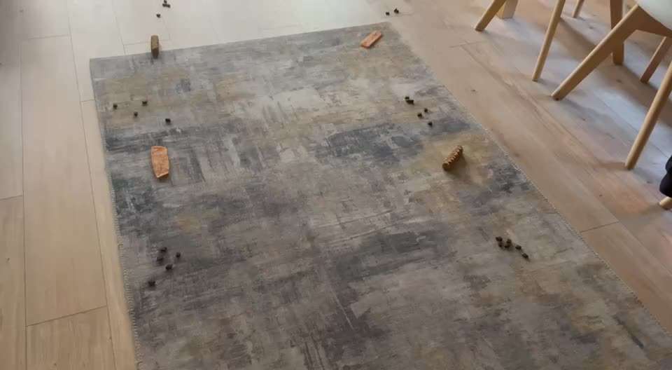 Impulskontrolle Challenge Nr. 21: Minenfeld-Beitrag-Bild