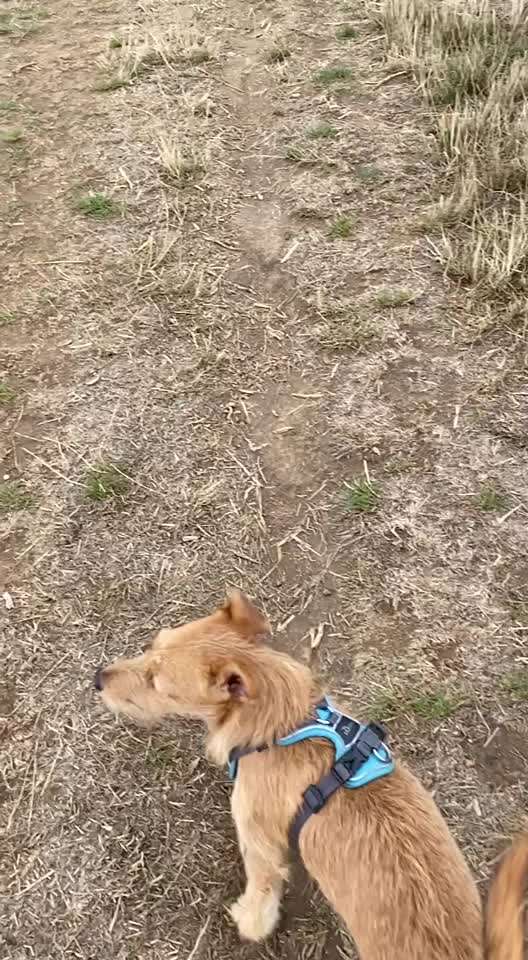 Zerrung ?-Beitrag-Bild