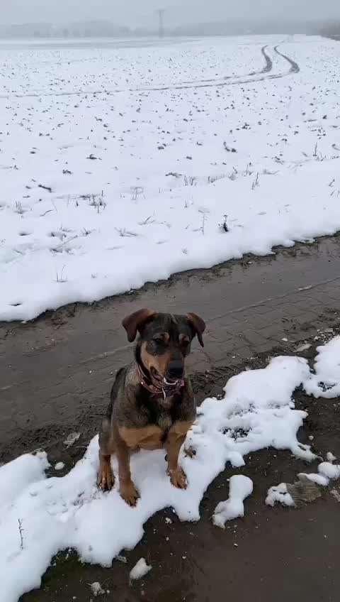 15. Video Challenge.  In SloMo die Welt erkunden!-Beitrag-Bild