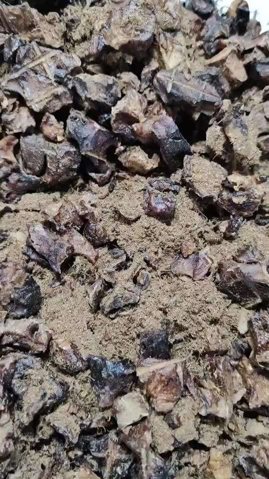 Trainingshappen Rinderlunge,Tierchen-Beitrag-Bild