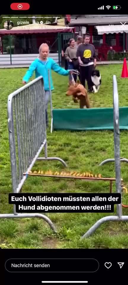 Was hat euch heute genervt?-Beitrag-Bild