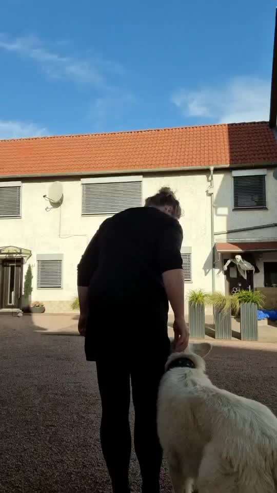 Früh übt sich-Beitrag-Bild