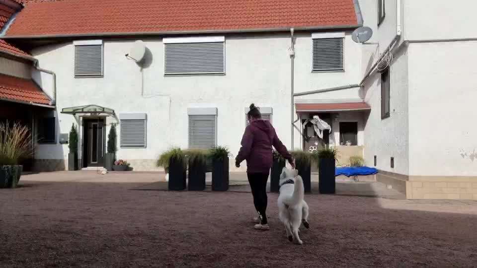 Früh übt sich-Beitrag-Bild