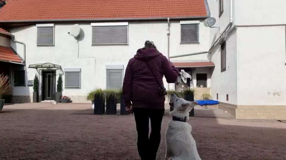 Früh übt sich-Beitrag-Bild