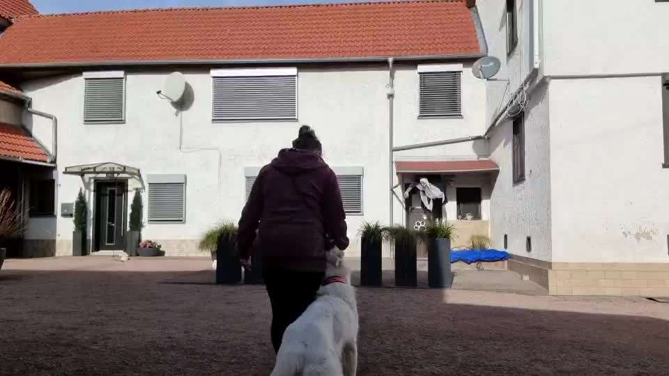 Früh übt sich-Beitrag-Bild