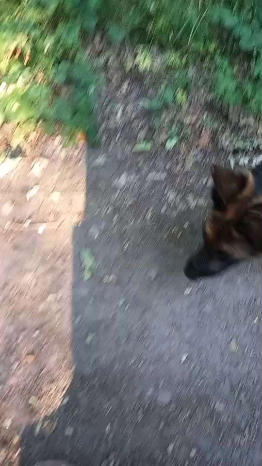 Das Gefühl das es nicht passt...-Beitrag-Bild