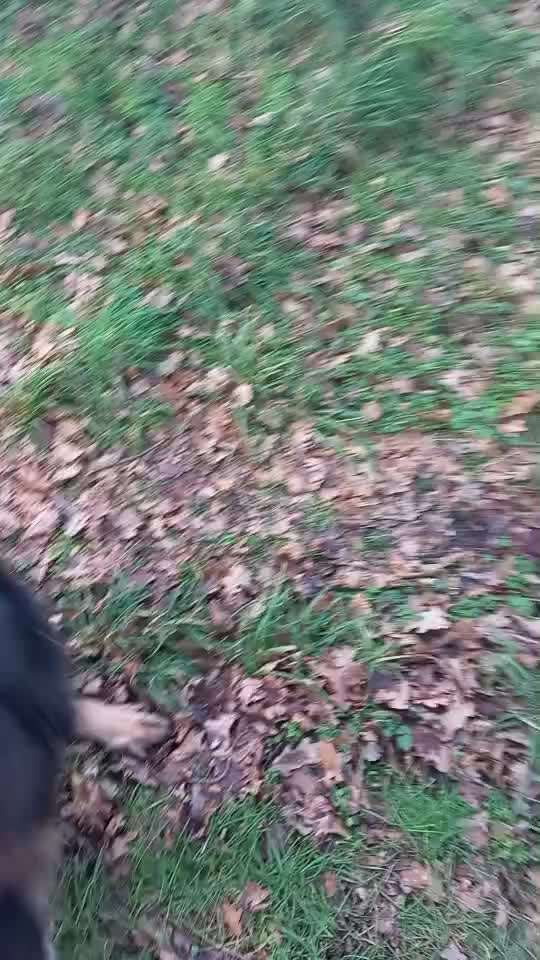 Geschlossene Box, eure Meinungen-Beitrag-Bild