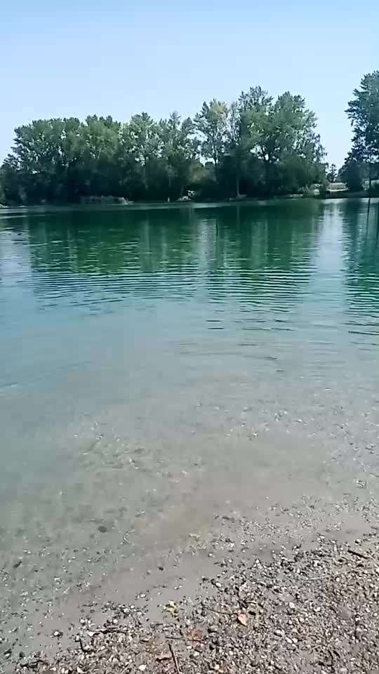 Alles rund um den Schäferhund, diskutieren erwünscht.-Beitrag-Bild