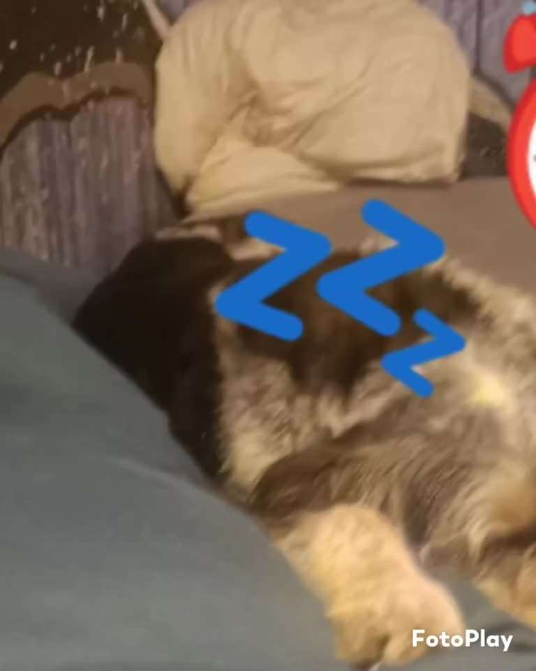 15. Kurzgeschichten-Challenge: Draussen, in der Natur-Beitrag-Bild