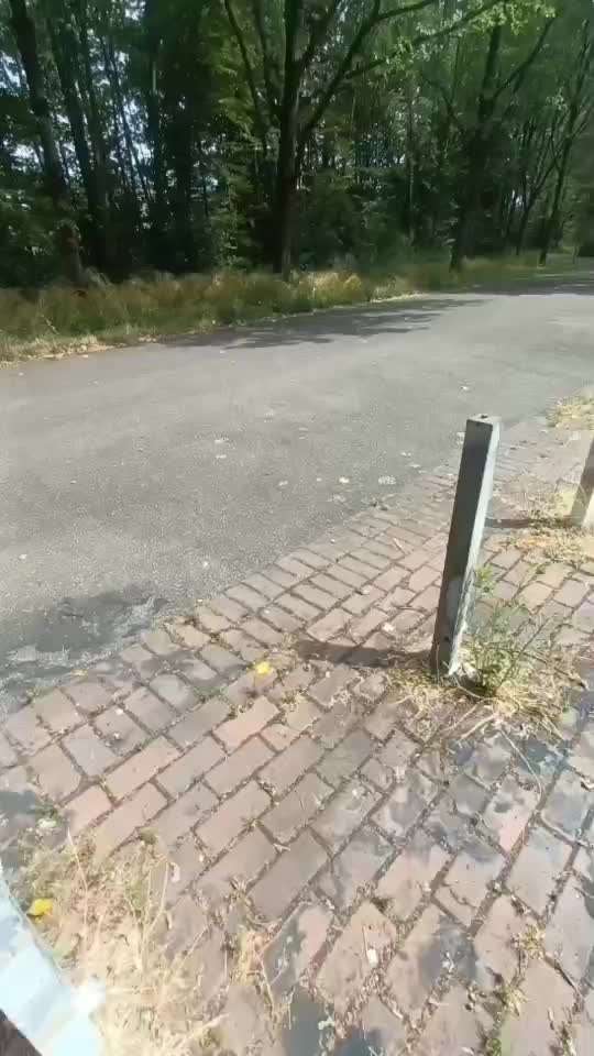 41. Handy Video Challenge-Beitrag-Bild