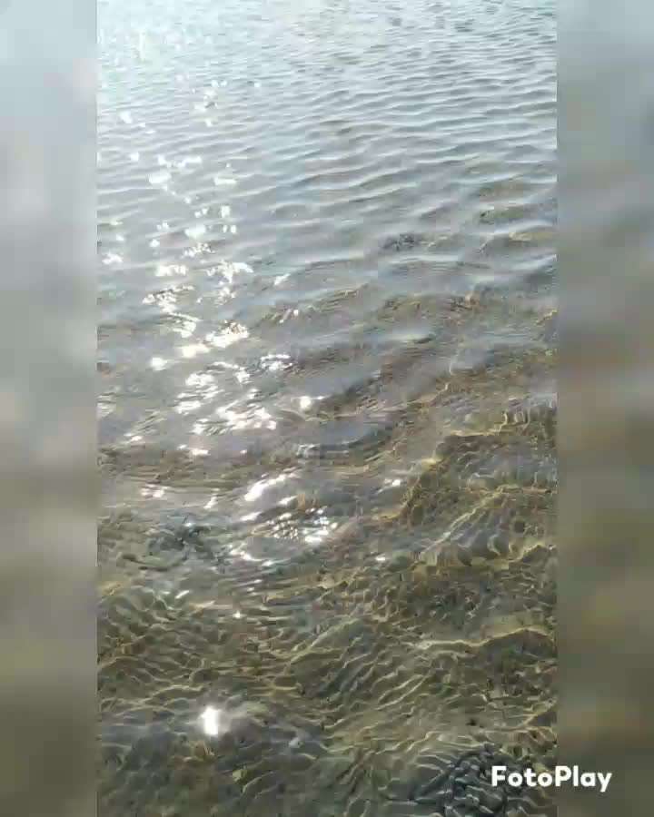 TierschutzhundeStammtisch🐕-Beitrag-Bild