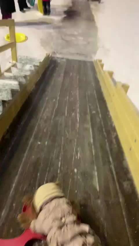 Hier ist der Spaßthread. Zum Schmunzeln und Kaputtlachen-Beitrag-Bild