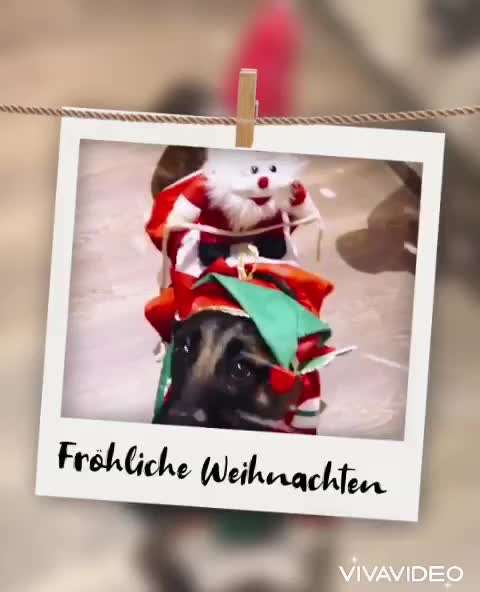 Hier ist der Spaßthread. Zum Schmunzeln und Kaputtlachen-Beitrag-Bild