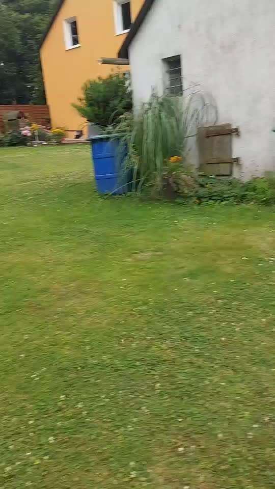 Best Days-Beitrag-Bild