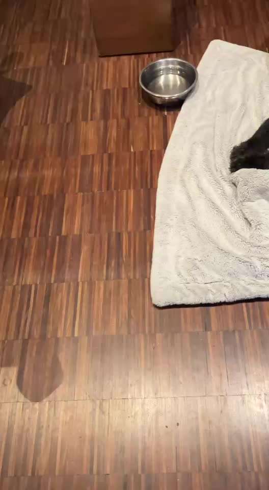 Wie habt ihr den Silvesterabend verbracht?-Beitrag-Bild