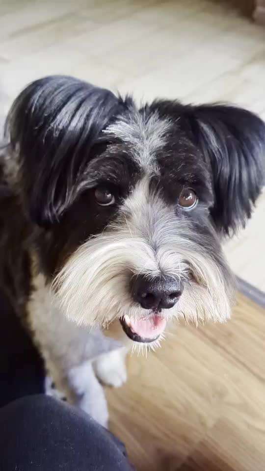 36. Trick-Challenge: Aufräumen!-Beitrag-Bild