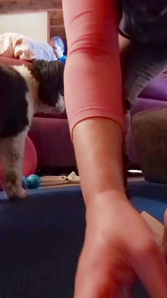 Trick Spiel - Koffer packen -der 22.-Beitrag-Bild