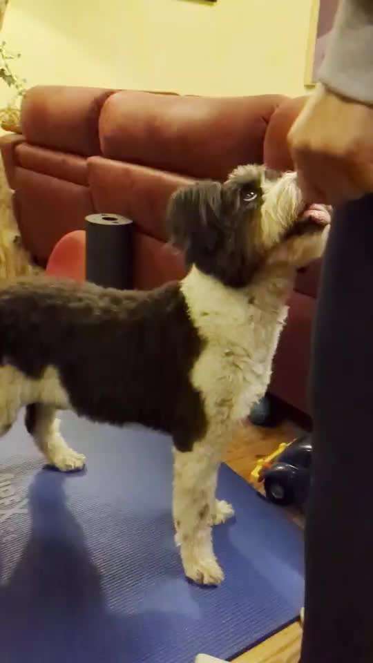 Trick Challenge - ich packe meinen Koffer-Beitrag-Bild