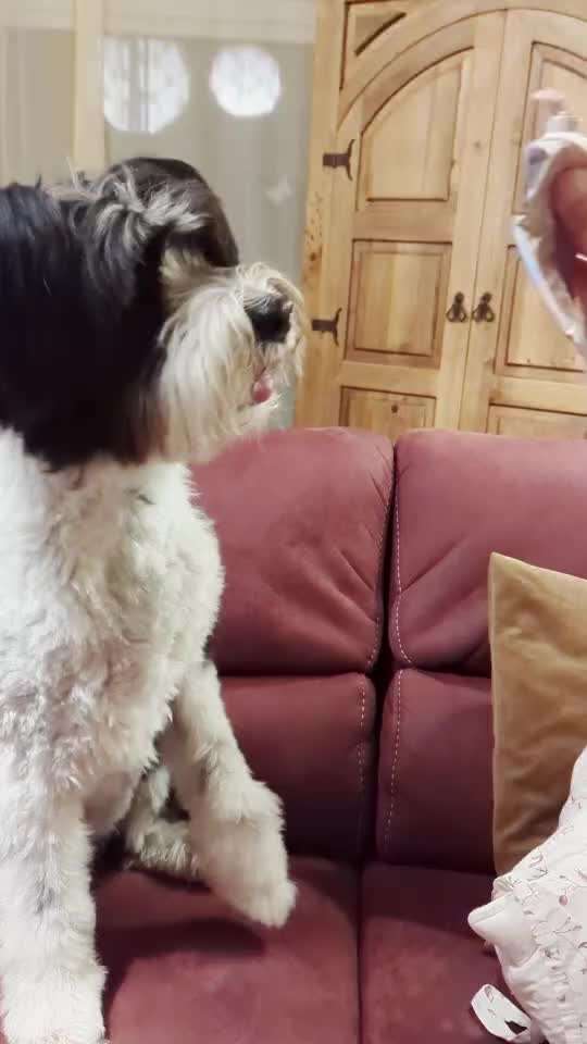 35. Trick Challenge - Schmeckts/ Zunge raus-Beitrag-Bild