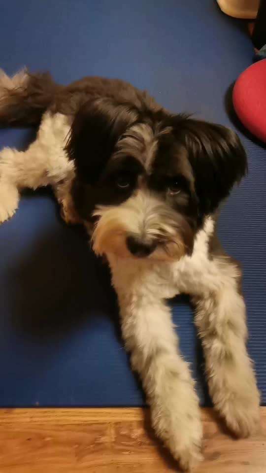 Trick Challenge ABC-Beitrag-Bild