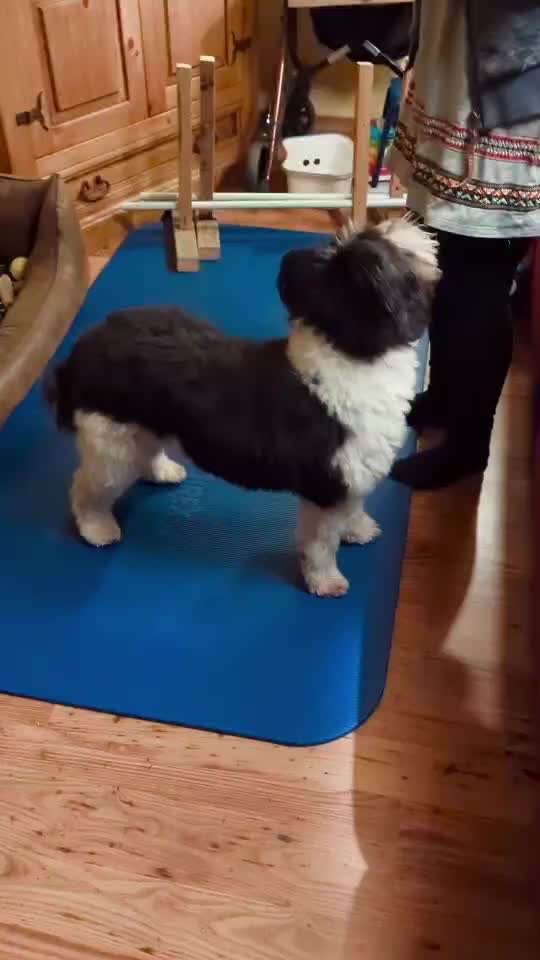 Trickchallenge - ich packe meinen 6. Koffer-Beitrag-Bild