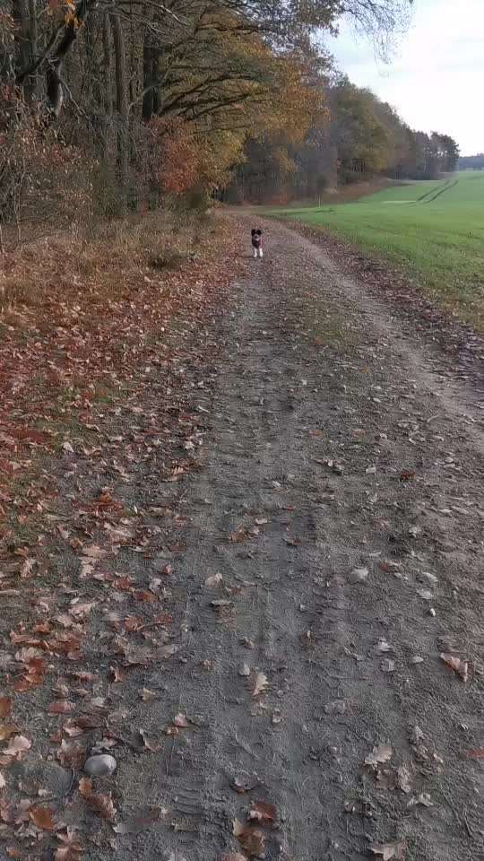 Trick Challenge ABC-Beitrag-Bild