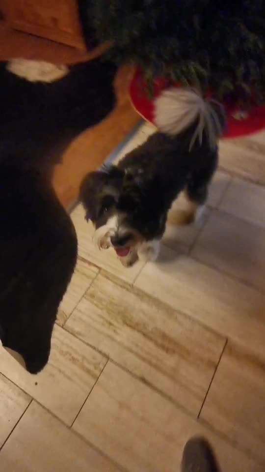 Trick Challenge ABC-Beitrag-Bild