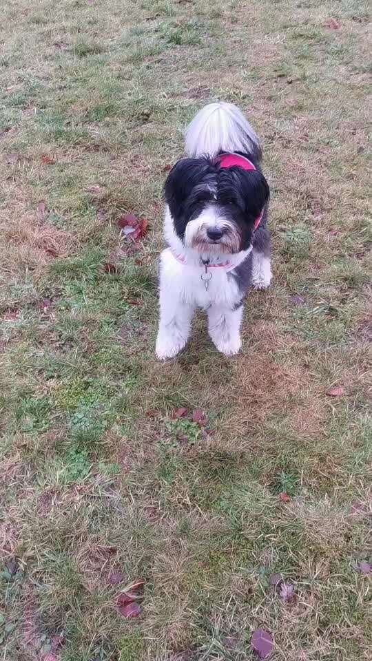 Trick Challenge ABC-Beitrag-Bild