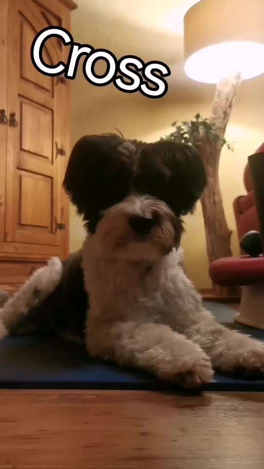 Trick Challenge ABC-Beitrag-Bild