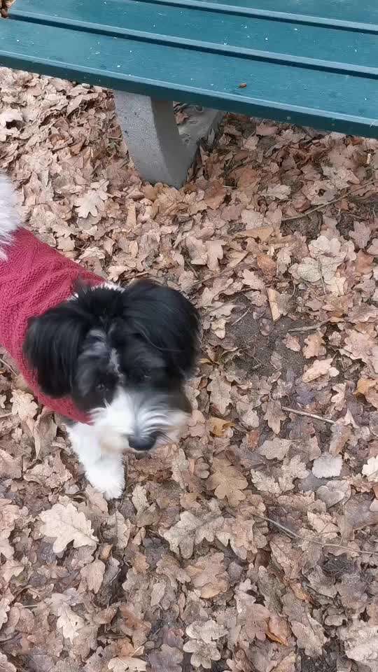 Trick Challenge ABC-Beitrag-Bild