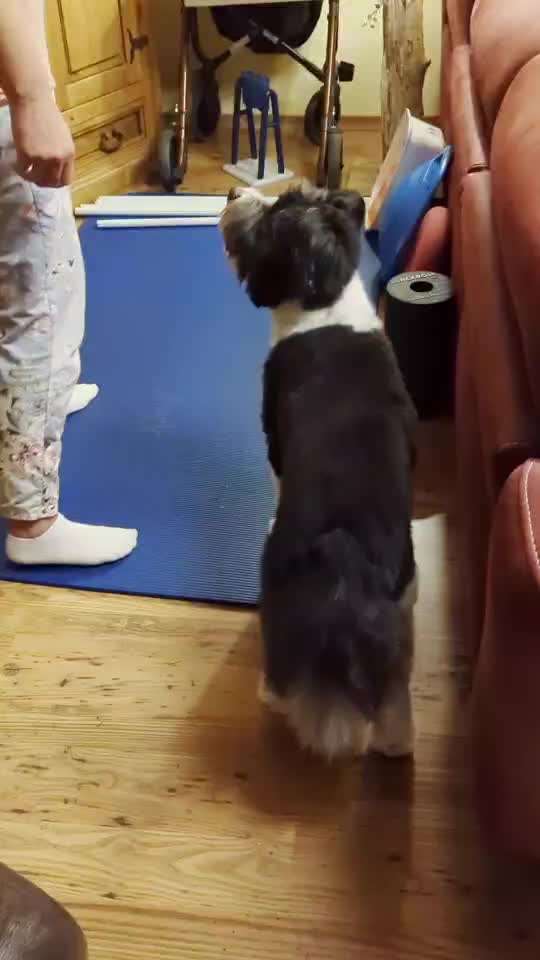 Veteranenzone - Koffer packen für fortgeschrittene-Beitrag-Bild