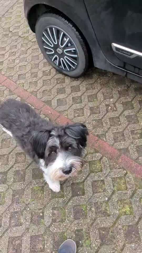 Trick Challenge ABC-Beitrag-Bild