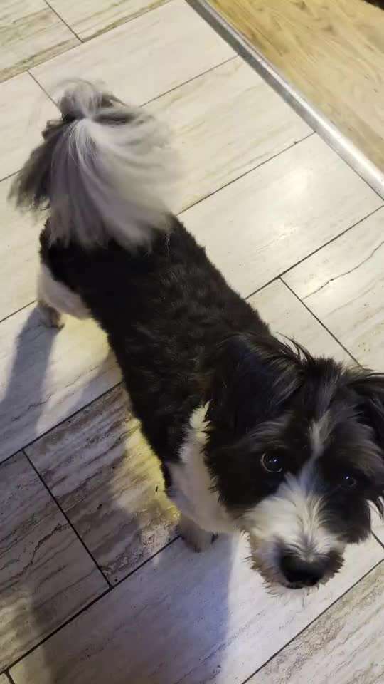 75.Trickchallenge: Bring etwas einer Person-Beitrag-Bild