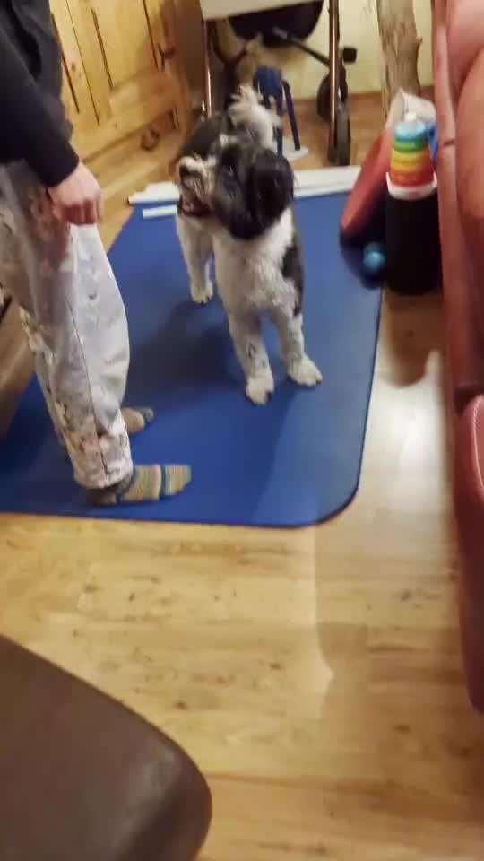 Veteranenzone - Koffer packen für fortgeschrittene-Beitrag-Bild