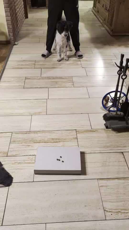 78.Trickspiel: Faceout-Beitrag-Bild