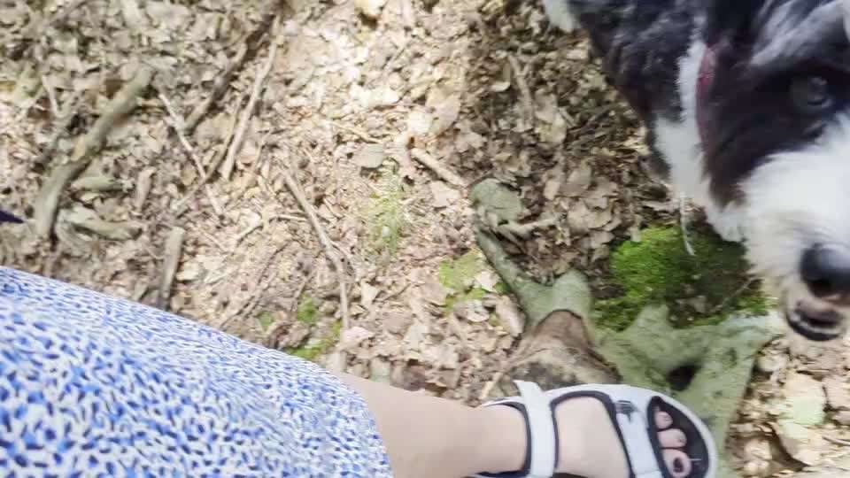 56. Gemeinsames Tricktraining : einein Gegenstand  ruckwärts umrunden-Beitrag-Bild