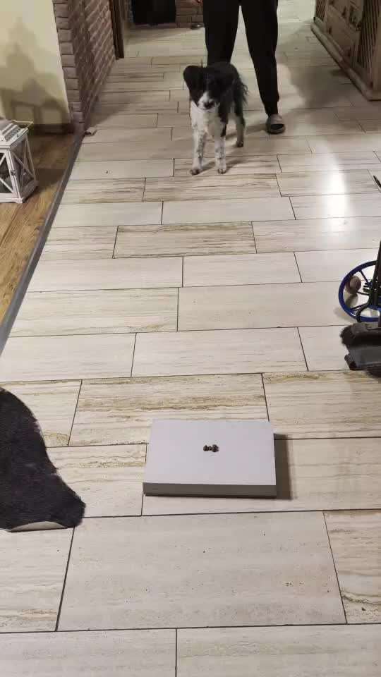 78.Trickspiel: Faceout-Beitrag-Bild