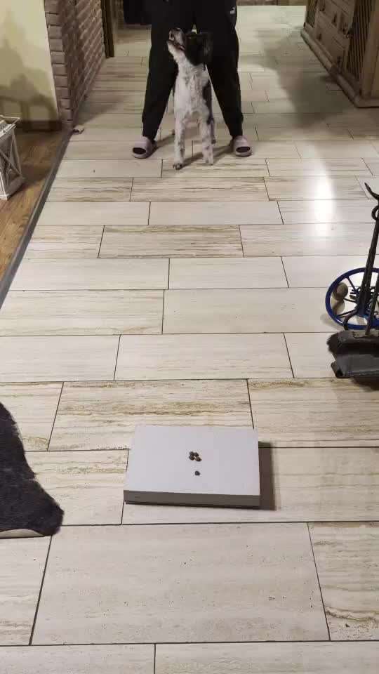 78.Trickspiel: Faceout-Beitrag-Bild