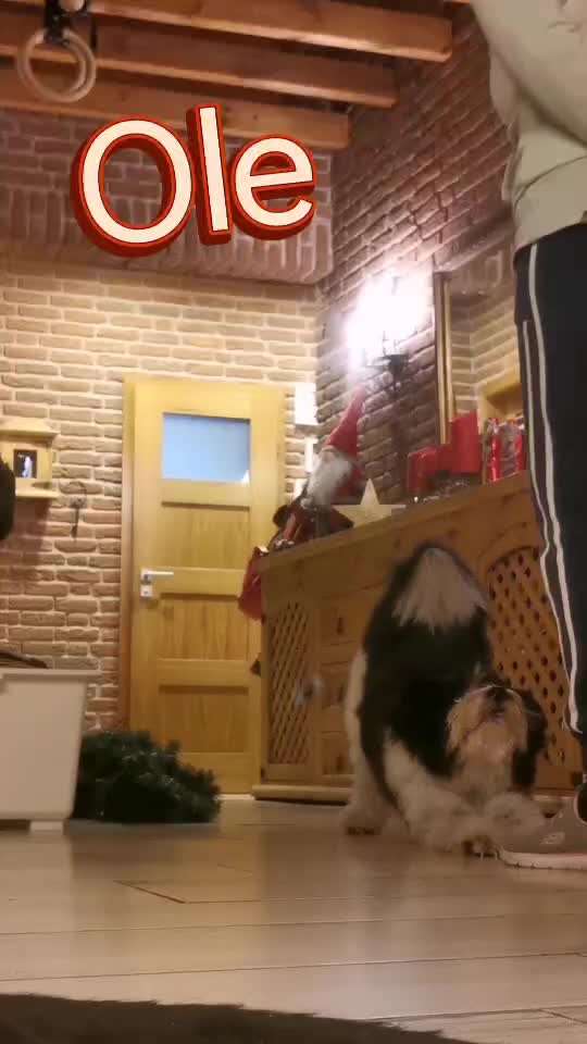 Trickchallenge Nr. 25 "Spanischer Schritt"-Beitrag-Bild