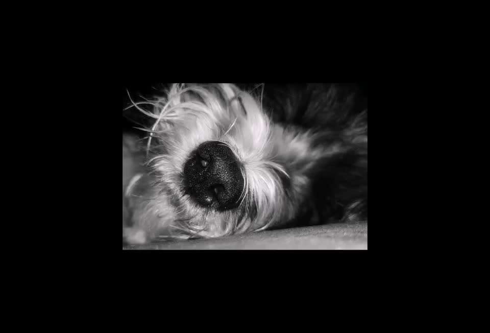 1. Kurzgeschichten Challenge  - Thema:  ...Los, aufstehen-Beitrag-Bild