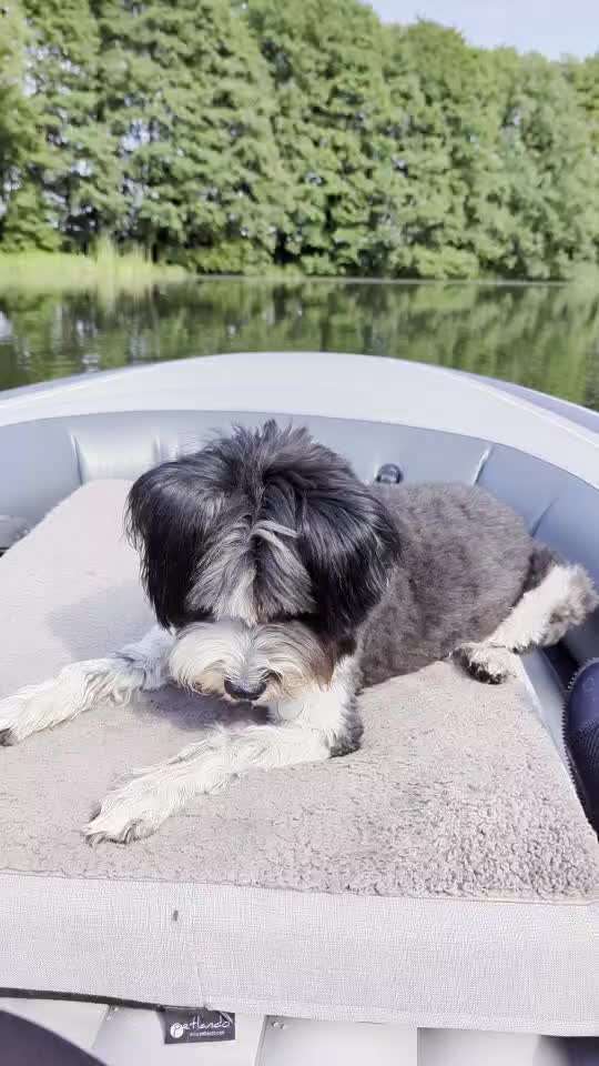 50. Video Challenge - Wasserscheu oder nicht-Beitrag-Bild