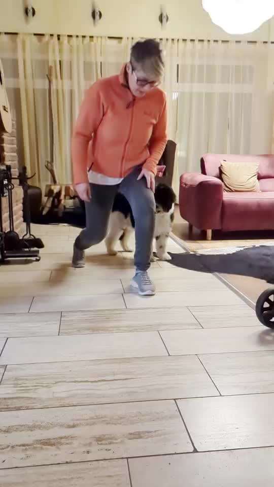 38. Trick Challenge: Slalom durch die Arme-Beitrag-Bild