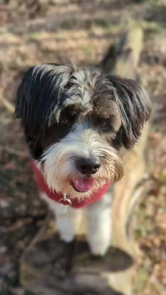 Trick Challenge ABC-Beitrag-Bild