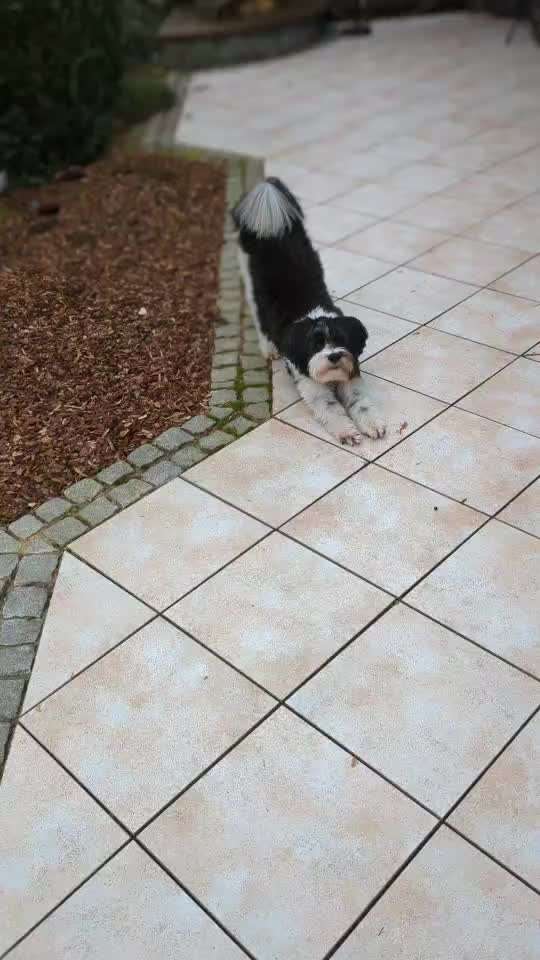 Trick Challenge ABC-Beitrag-Bild