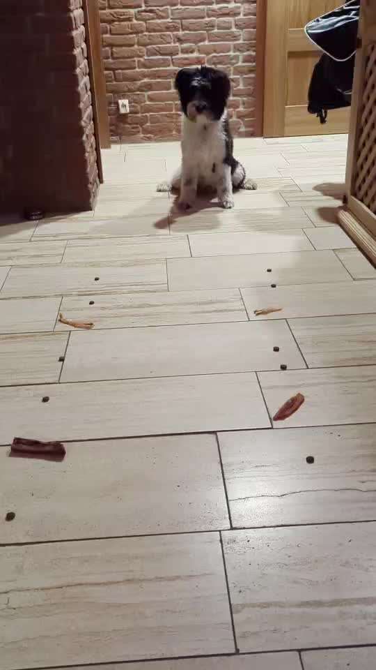 Impulskontrolle Challenge Nr. 21: Minenfeld-Beitrag-Bild