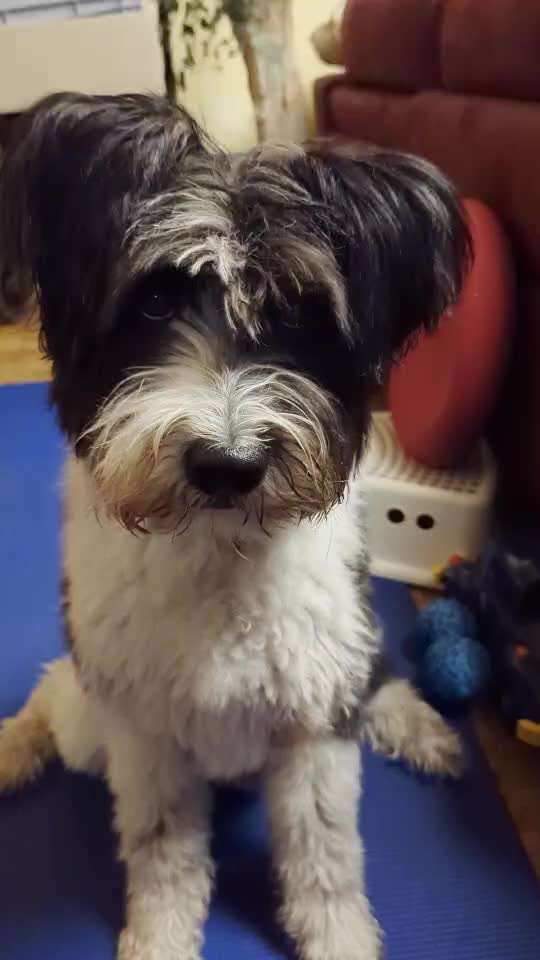 35. Trick Challenge - Schmeckts/ Zunge raus-Beitrag-Bild