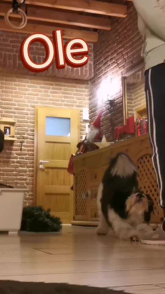 Trick Challenge ABC-Beitrag-Bild